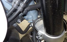 HONDA MONKEY 125 2019 JB05