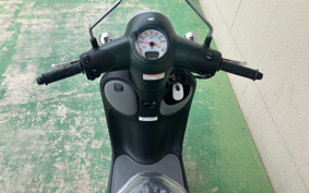 HONDA GIORNO AF77