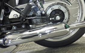 KAWASAKI W800 2024 EJ800E