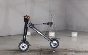 OTHER  ACCESS  ELECTRIC SCOOTER  ..