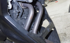 KAWASAKI Z250 2019 ER250C