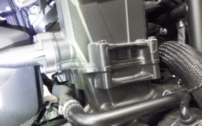 HONDA REBEL 1100 T DCT 2023 SC83