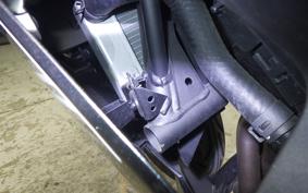 KAWASAKI NINJA 250 2021