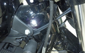 HARLEY XL1200NS 2018