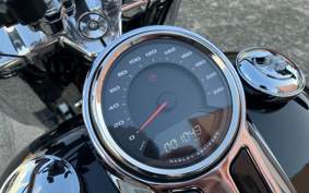 HARLEY FLFBS 2021 YGK