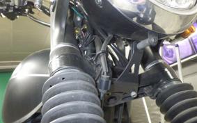 KAWASAKI W800 2021 EJ800B