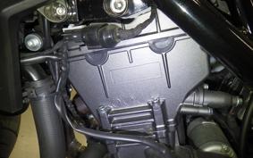 HARLEY X350 2024