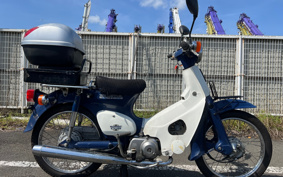 HONDA SUPER CUB50 C50