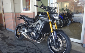 YAMAHA MT-09 ABS 2014 RN34J
