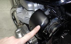 KAWASAKI W800 2025 EJ800E