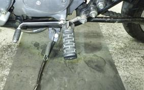 KAWASAKI Z900 2026 Z1F