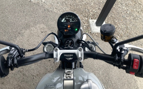 TRIUMPH  TRIUMPH  SCRAMBLER 1200X 2025 DADR0H