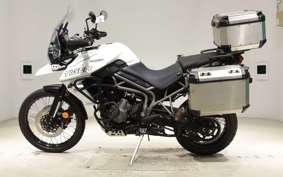 TRIUMPH TIGER 800 2019