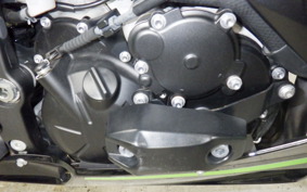 KAWASAKI NINJA ZX-6R A 2024 ZX636J