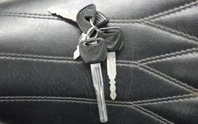 HONDA REBEL 250 S 2015 MC49