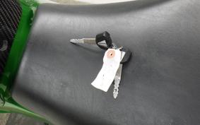 KAWASAKI ZX 1400 NINJA R A 2015