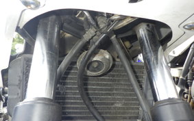 YAMAHA FZ250 1HX