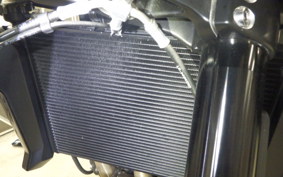 TRIUMPH TIGER 660 SPORTS 2025