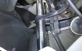 KAWASAKI NINJA 250R 2007 EX250K