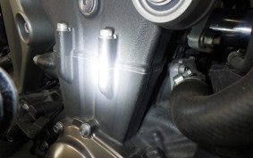 YAMAHA MT-09 2015 RN34J