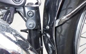 KAWASAKI W800 2020 EJ800B