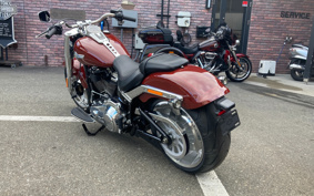 HARLEY  HARLEY FLFBS 2025 YGK