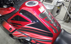 SUZUKI V-STROM 250