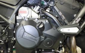 KAWASAKI ZH2 2021 ZRT00K