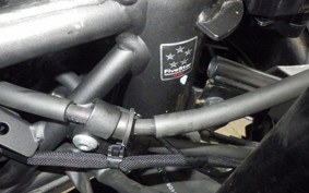 KAWASAKI NINJA 250 ZX250E