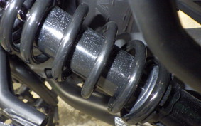 HONDA REBEL 250 2007 MC49