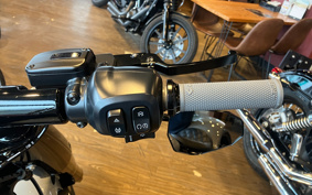 HARLEY FLFB 2025 YF9
