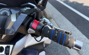 HONDA FORZA 250 4019