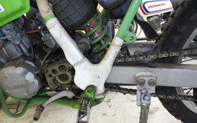 KAWASAKI KDX200SR 2024 DX200G
