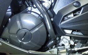 KAWASAKI NINJA 250 EX250L