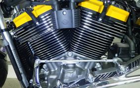 HARLEY FLSTFI1920 2025