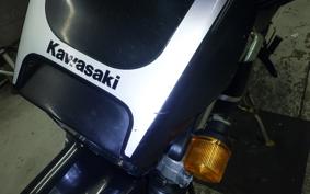 KAWASAKI SUPER SHERPA 2019 KL250G