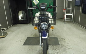 HONDA C110 SUPER CUB JA61