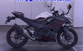 OTHER NINJA 400-2 2023