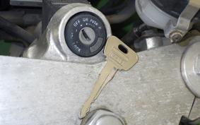 KAWASAKI ZXR250 Gen.2 ZX250C