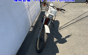 HONDA TLR200