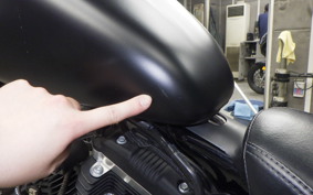 HARLEY XL883N 2020