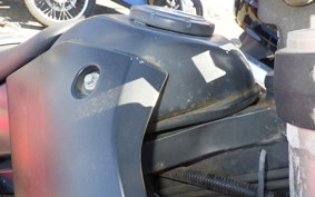 KAWASAKI KLX250D TRACKER X 2018 LX250V