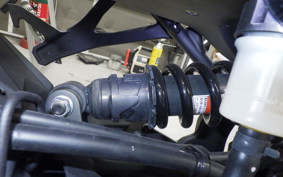 KAWASAKI ZX-4R SE 2023 ZX400P