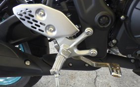 YAMAHA MT-25 A RG74J