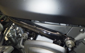 HARLEY RH975S 2024