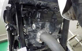 HONDA VT250FG 2008 MC15