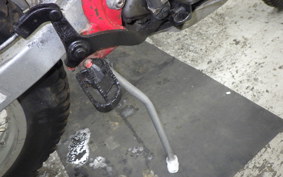 HONDA RTL250S 2009 RTL250SF