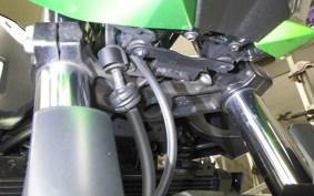 KAWASAKI Z250 Gen.2 2023 EX250Y