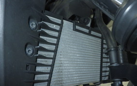 YAMAHA MT-25 2021 RG43J