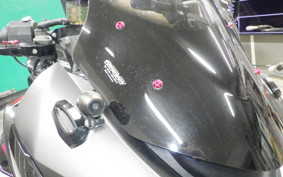 KAWASAKI NINJA 1000SX 2022 ZXT02K